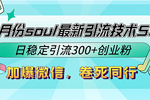 (12772期)9月份soul最新引流技术5.0,日稳定引流300+创业粉,加爆微信,卷死同行