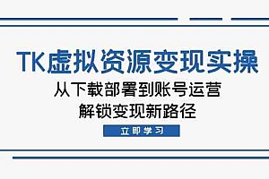 TK虚拟资源变现实操:从下载部署到账号运营,解锁变现新路径