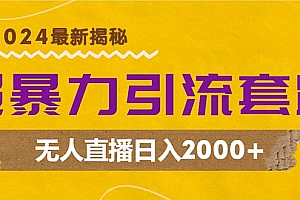 (12800期)超暴力引流套路,无人直播日入2000+