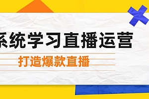 系统学习直播运营:掌握起号方法、主播能力、小店随心推,打造爆款直播