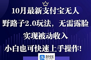 (12824期)10月最新支付宝无人野路子2.0玩法,无需露脸,实现被动收入,小白也可…