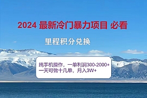 2024惊爆冷门暴利,里程积分最新玩法,高爆发期,一单300+—2000+