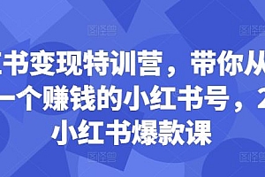 小红书变现特训营,带你从0到1做一个赚钱的小红书号,24堂小红书爆款课