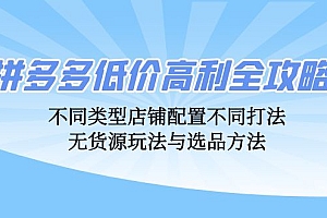 (12897期)拼多多低价高利全攻略:不同类型店铺配置不同打法,无货源玩法与选品方法