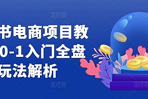 小红书电商项目教程,0-1入门全盘玩法解析