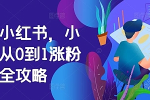 掘金小红书,小红书从0到1涨粉变现全攻略