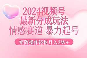 (12922期)2024最新视频号分成玩法,情感赛道,暴力起号,矩阵操作轻松月入3W+