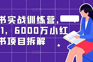 小红书实战训练营,从0到1,6000万小红书项目拆解