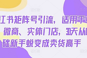 小红书矩阵号引流,适用于电商、微商、实体门店,30天从0基础新手蜕变成卖货高手