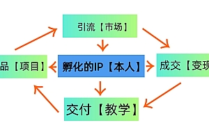普通人如何通过知识付费“卖项目”年入“百万”,IP合伙人精品课程,黑科技暴力引流