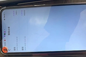 (12953期)语聊自刷掘金,当天学会,当天见收益,轻松日入300+