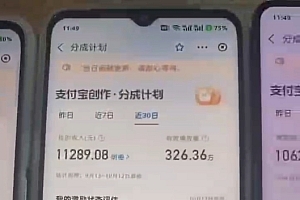 (12970期)2024年底最稳项目,小白无门槛,坚持做三个月,回家过肥年!!!