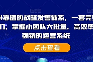 2024靠谱的战略发售体系,一套完整的助IP们,掌握小团队大批量,高效率,0 强销的运营系统