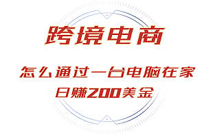 (12997期)日赚200美金的跨境电商赛道,如何在家通过一台电脑把货卖到全世界!