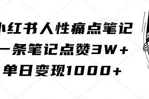 小红书人性痛点笔记,一条笔记点赞3W+,单日变现1k