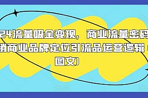 2024流量吸金变现,商业流量密码营销商业品牌定位引流品运营逻辑(图文)