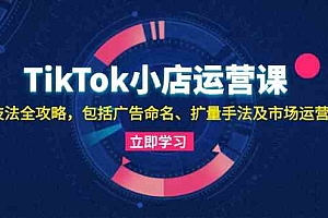 TikTok小店运营课:投流技法全攻略,包括广告命名 扩量手法及市场运营方法