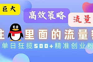 (13068期)流量蓝海,抓住QQ里面的流量密码!高效策略,单日狂揽500+精准创业粉
