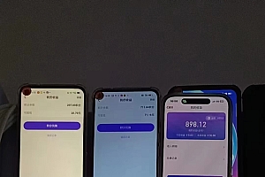 (13085期)全新语聊自刷掘金项目,当天见收益,小白宝妈每日轻松包赚300+