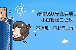 (13115期)2024最新微信视频号变现项目,小白轻松月入四位数