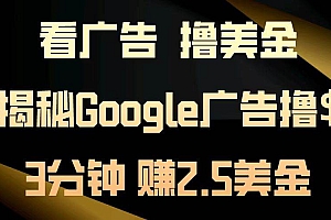 (13114期)看广告,撸美金!3分钟赚2.5美金!日入200美金不是梦!揭秘Google广告…
