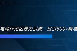 双十一电商评论区暴力引流,日引500+精准创业粉【揭秘】