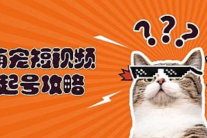 (13135期)萌宠-短视频起号攻略:定位搭建推流全解析,助力新手轻松打造爆款