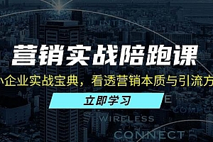 (13146期)营销实战陪跑课:中小企业实战宝典,看透营销本质与引流方法论