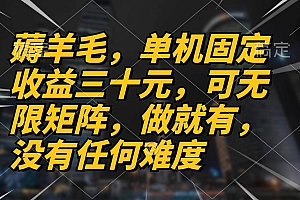 (13162期)薅羊毛项目,单机三十元,做就有,可无限矩阵 无任何难度