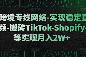 利用跨境专线网络-实现稳定直播-刷视频-搬砖TikTok-Shopify-FB等实现月入2W+【揭秘】