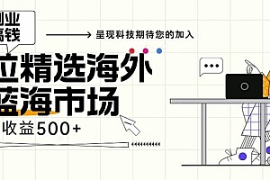 (13191期)海外全新空白市场,小白也可轻松上手,年底最后红利