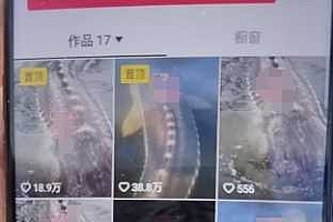 外面卖399的国学佛像原创暴力起号技术,快速起号,7天可达到一个万粉号