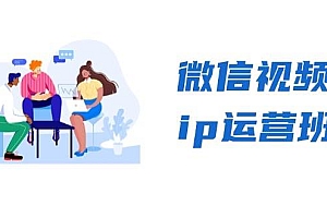 (13228期)微信视频号ip运营班:特邀分享+CEO直播+精英分享,揭秘视频号变现秘诀