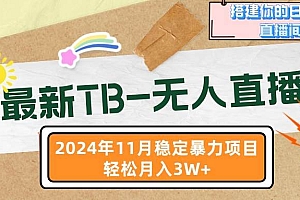 (13243期)最新TB-无人直播 11月最新,打造你的日不落直播间,轻松月入3W+