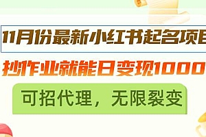 (13256期)11月份最新小红书起名项目,抄作业就能日变现1000+,可招代理,无限裂变