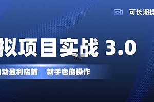 虚拟项目实战3.0,打造自动盈利店铺,可长期操作投入低,新手也能操作
