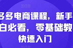拼多多电商课程,新手纯小白必看,零基础教学快速入门