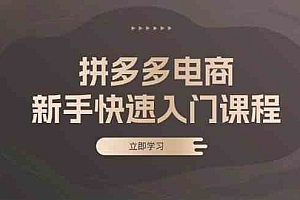 拼多多电商新手快速入门课程:涵盖基础、实战与选款,助力小白轻松上手