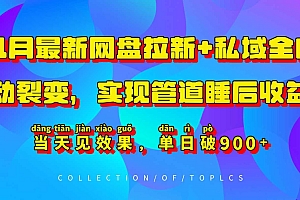 11月最新网盘拉新+私域全自动裂变,实现管道睡后收益,当天见效果,单日破900+
