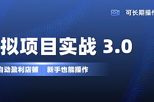 虚拟项目实操落地 3.0,新手轻松上手,单品月入1W+