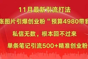 小红书11月最新图片打粉,一张图片引爆创业粉,“预算4980带我飞”,单条引流500+精准创业粉