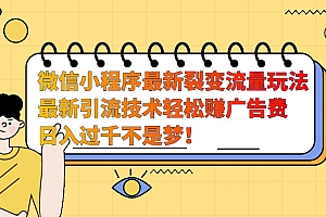 微信小程序最新裂变流量玩法,时间自由收益高轻松赚广告费,日入过千不是梦!