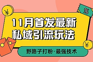 11月首发最新私域引流玩法,自动克隆爆款一键改写截流自热一体化 日引300+精准粉