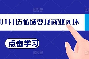 从0到1打造私域变现商业闭环,私域变现操盘手,私域IP打造