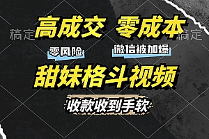 (13384期)高成交零成本,售卖甜妹格斗视频,谁发谁火,加爆微信,收款收到手软