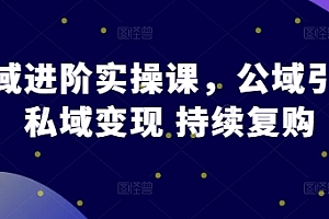 私域进阶实操课,公域引流 私域变现 持续复购