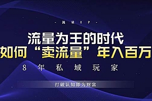 (13433期)未来如何通过“卖流量”年入百万,跨越一切周期绝对蓝海项目