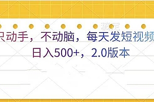 (13446期)只动手,不动脑,每天发发视频日入500+  2.0版本