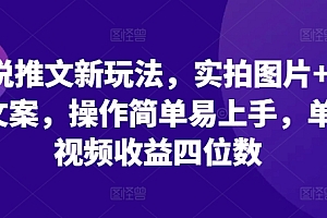 小说推文新玩法,实拍图片+小说文案,操作简单易上手,单条视频收益四位数
