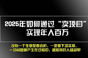 (13468期)2025年如何通过“卖项目”实现年入百万,做网赚必看!!